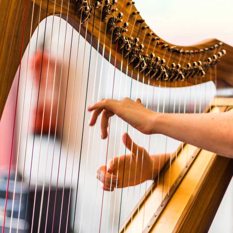 Harp Hire at EIHF 2022